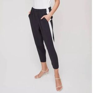 Aritzia Babaton Dexter Pant